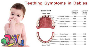 نکاتی در مورد دندان درآوردن کودک